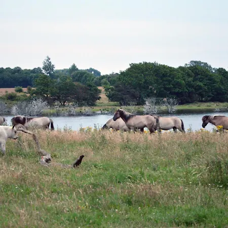 Alte Kate 펜션 Esgrus